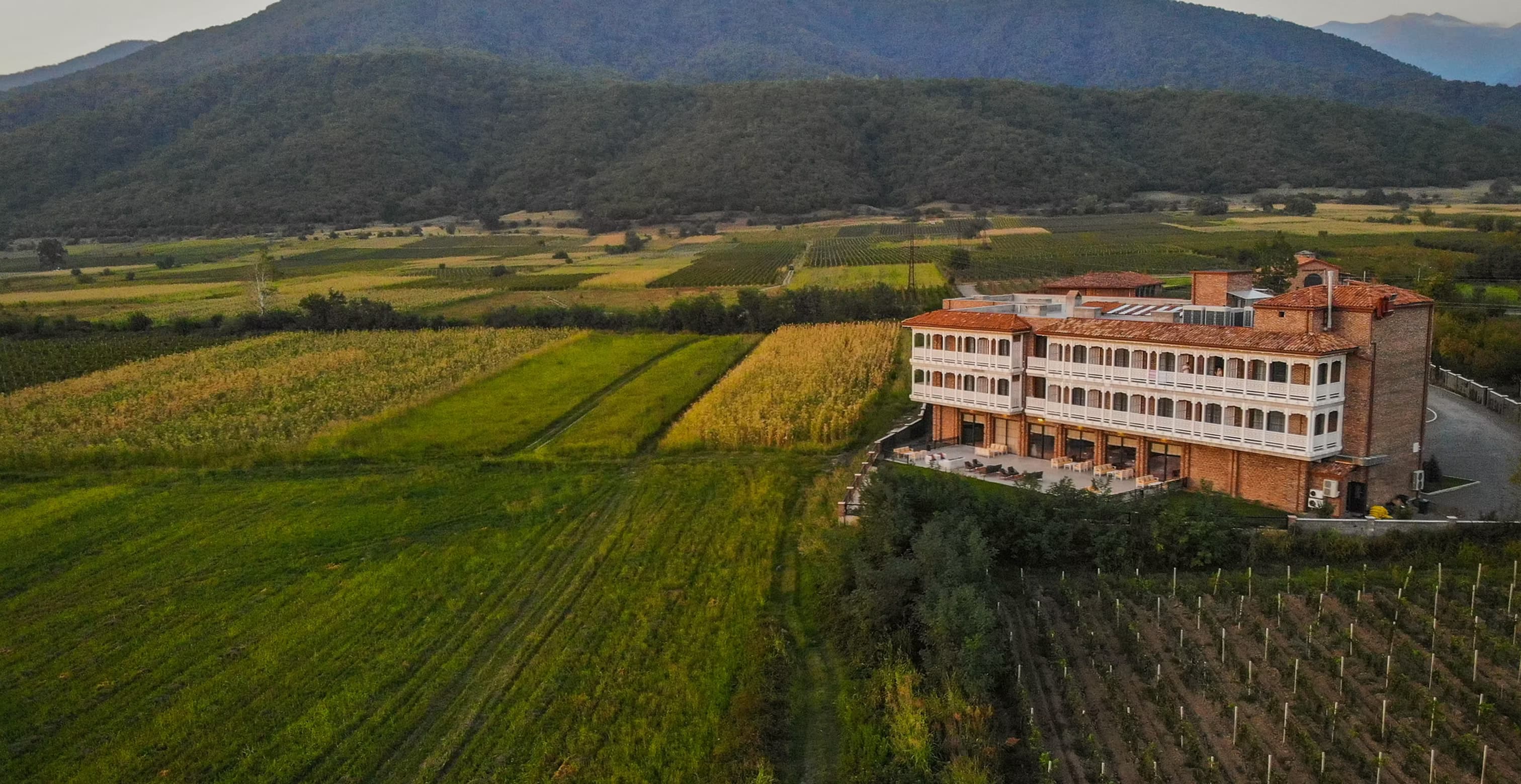 Mountains and vineyards of the Kakheti wine region in Georgia